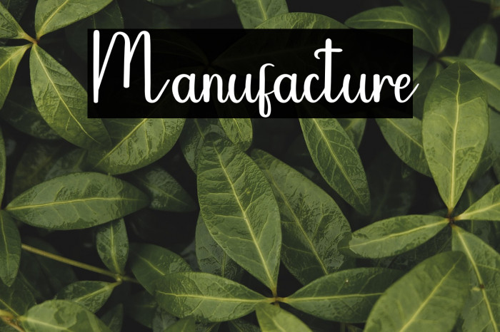 Manufacture Example 2