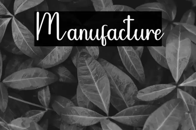 Manufacture Caratteri examples