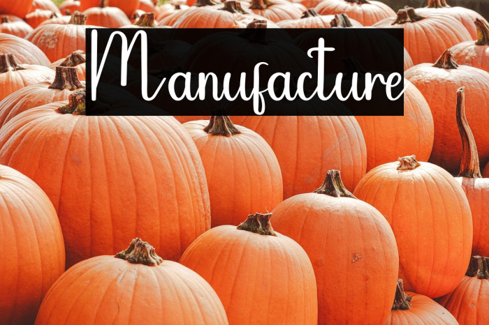 Manufacture Example 3