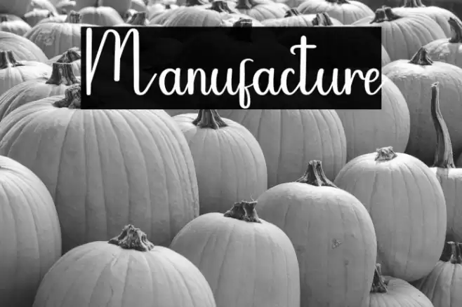 Manufacture Caratteri examples