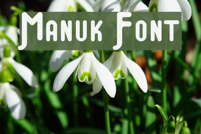 Manuk Font examples