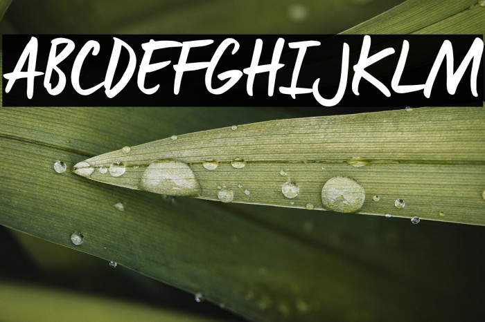 Manus Smooth_TRIAL Example 2