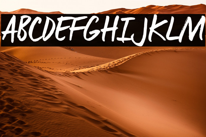 ManusTrial Example 1