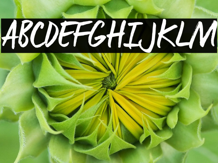 ManusTrial Example 2