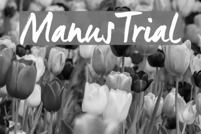 ManusTrial Font examples