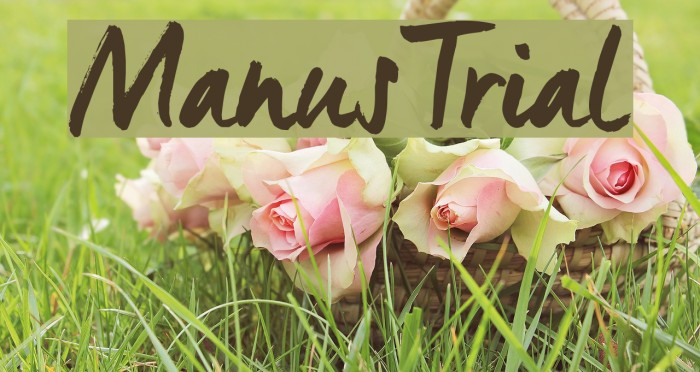 ManusTrial Font examples