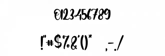 Manuscript Font OTHER CHARS