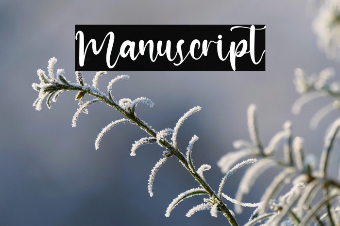 Manuscript Example 1