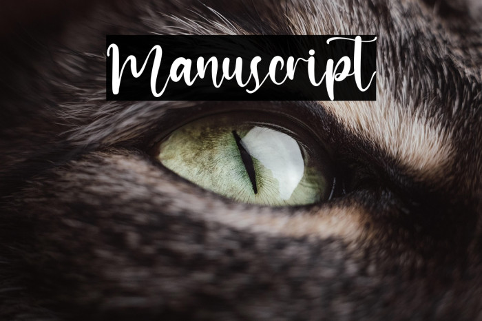 Manuscript Example 2