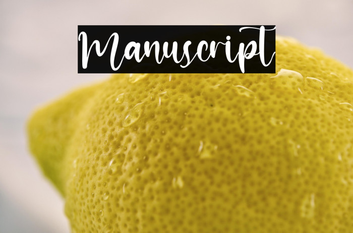 Manuscript Example 3