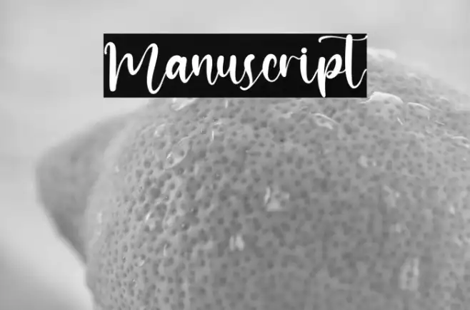 Manuscript Example 3