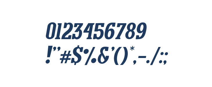 ManuscriptItalic Other Characters