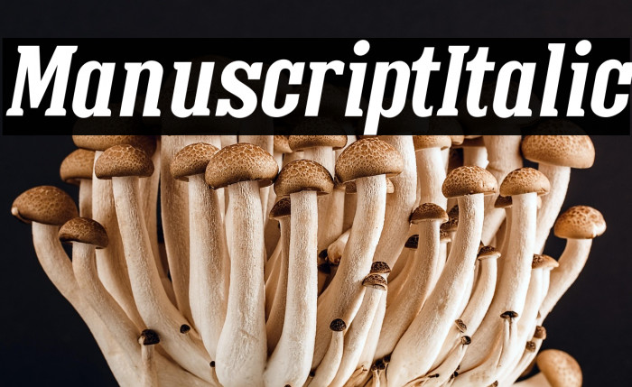 ManuscriptItalic Example 1