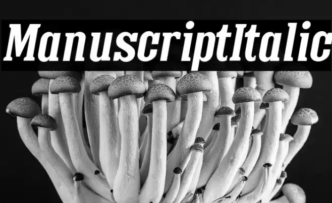 ManuscriptItalic Font examples
