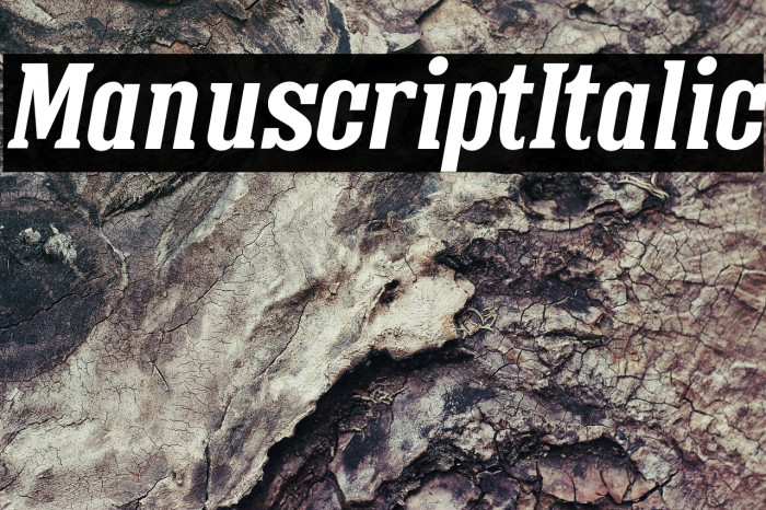 ManuscriptItalic Example 2