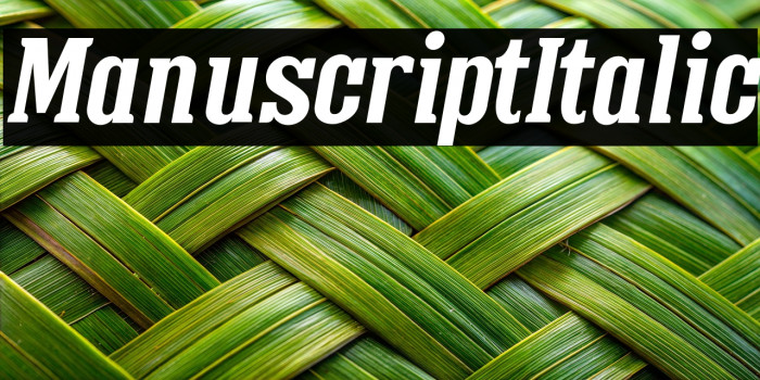 ManuscriptItalic Example 3