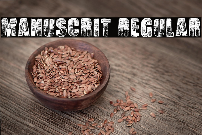 Manuscrit Regular Example 1