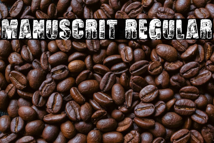 Manuscrit Regular Example 2