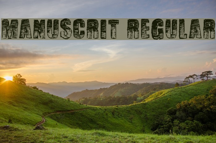 Manuscrit Regular Example 1
