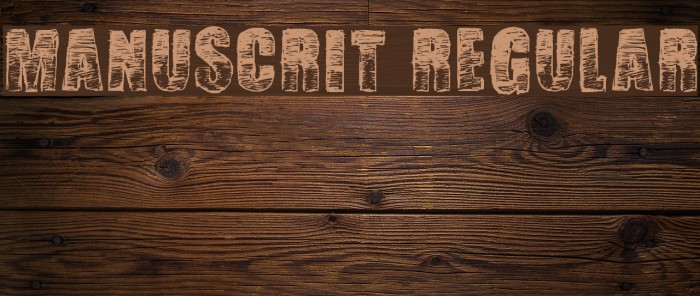 Manuscrit Regular Example 3