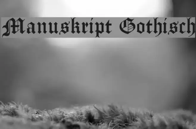 Manuskript Gothisch Font examples