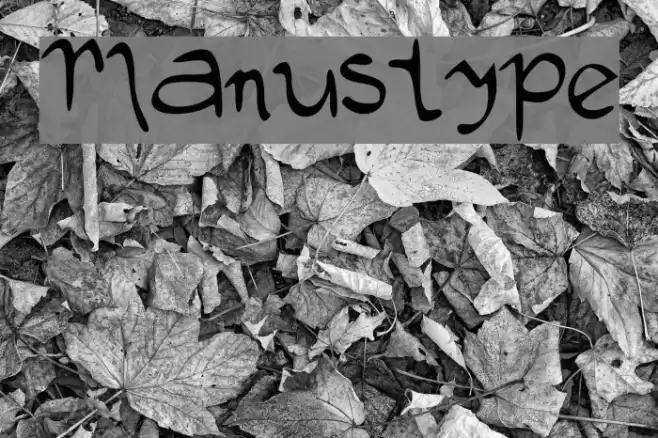 Manustype Font examples