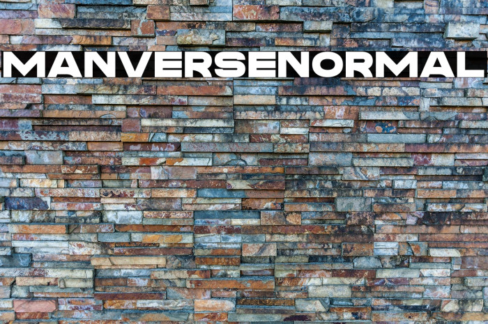 Manverse_Normal Example 1