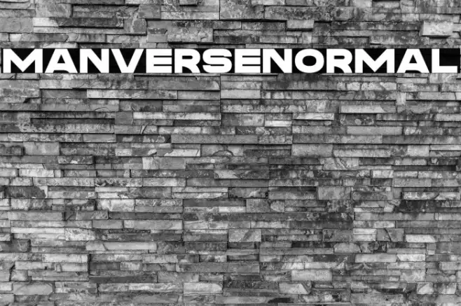 Manverse_Normal Example 1