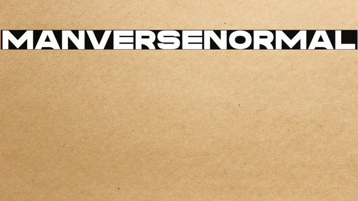 Manverse_Normal Example 2