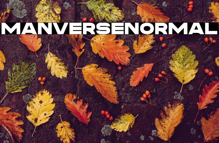 Manverse_Normal Example 3