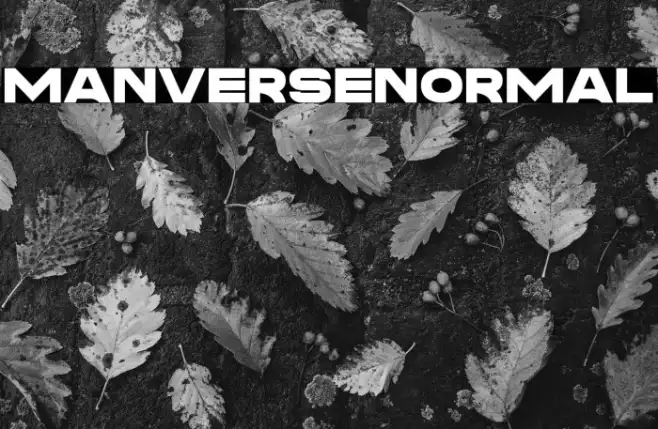 Manverse_Normal Example 3
