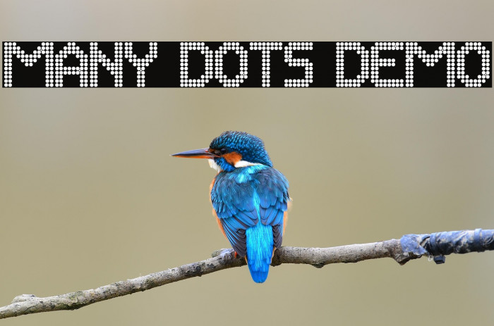 Many Dots Demo Example 1