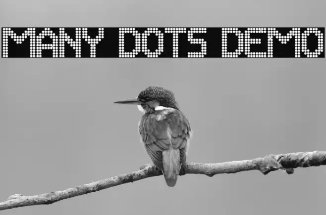 Many Dots Demo خط examples