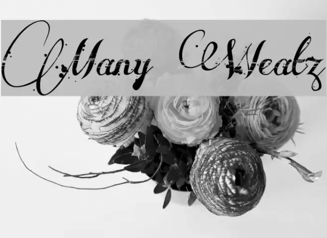 Many Weatz Font examples