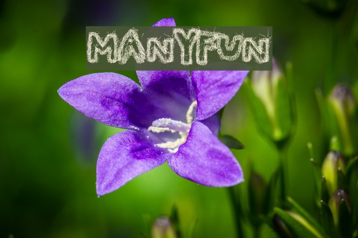 ManyFun Font examples