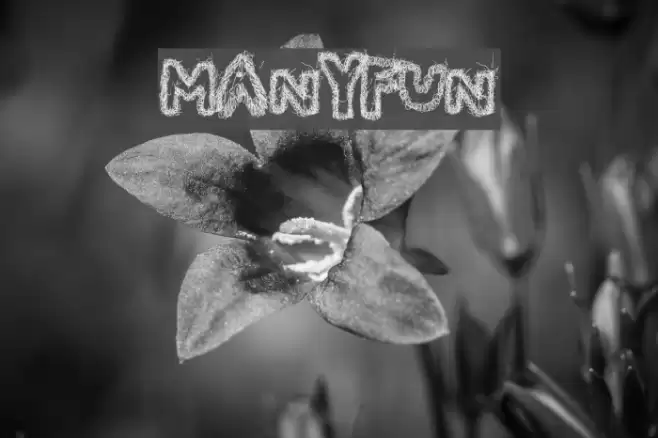 ManyFun Font examples