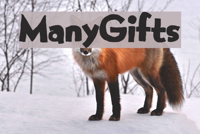 ManyGifts Font examples