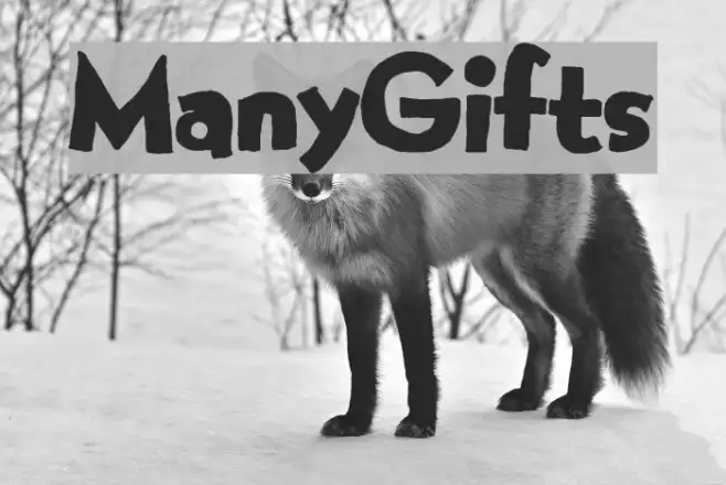 ManyGifts Example 1