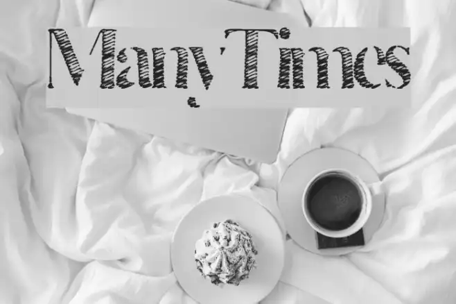 ManyTimes Example 3