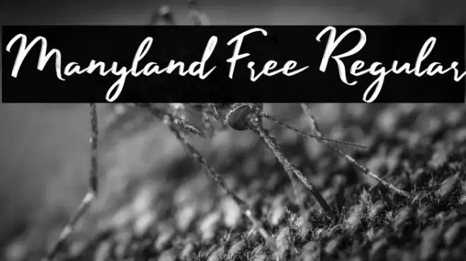 Manyland Free Regular Font examples