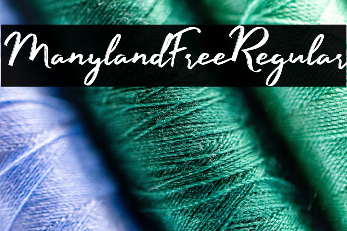 ManylandFree-Regular Example 1