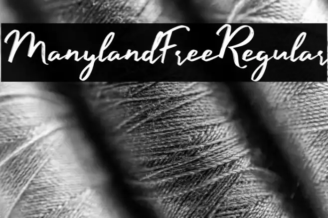 ManylandFree-Regular Example 1