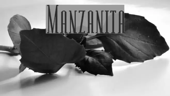 Manzanita Font examples