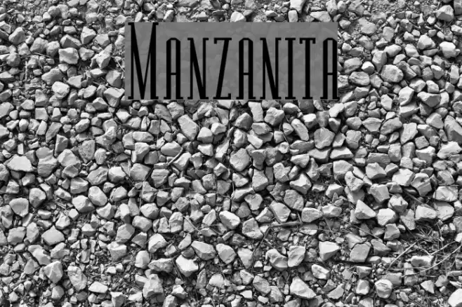 Manzanita Font examples