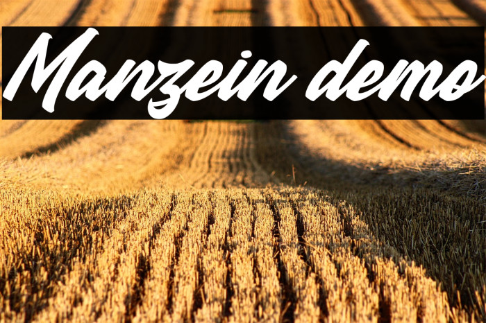 Manzein demo Example 1
