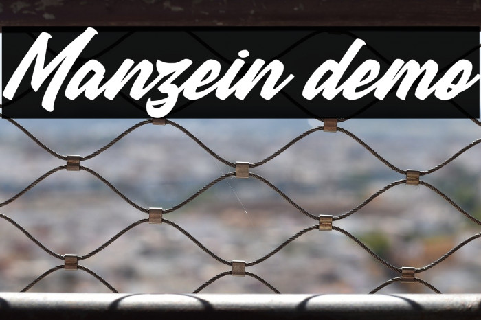 Manzein demo Example 2