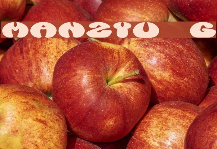Manzyu__G Font examples