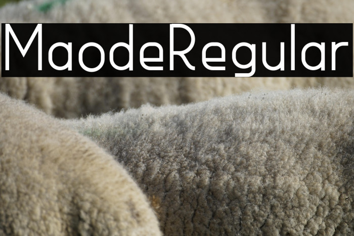 MaodeRegular Example 2