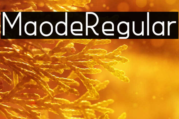 MaodeRegular Example 3