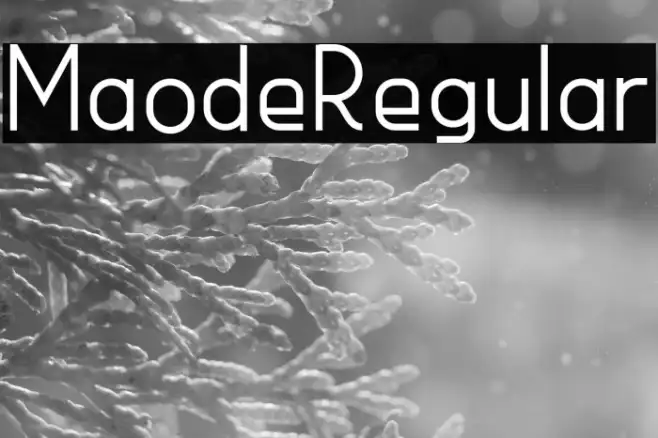 MaodeRegular Example 3